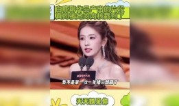 明星爆料新闻视频,揭秘幕后真相，视频揭秘娱乐圈风云